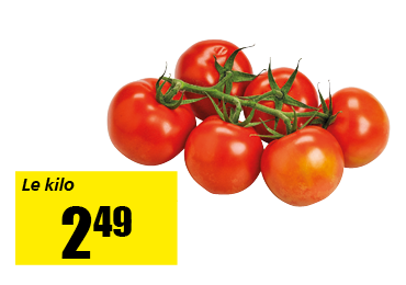 tomates_branches.png